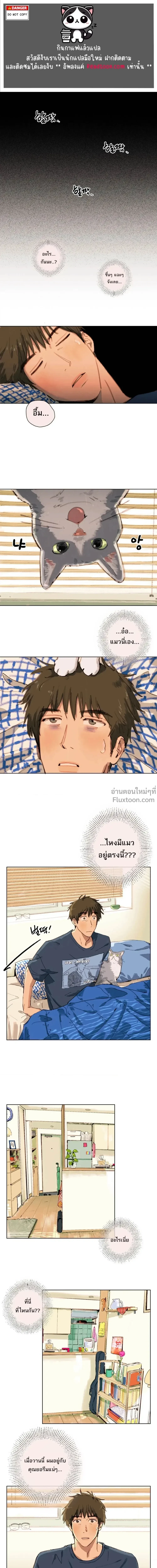 หน้าที่ 2