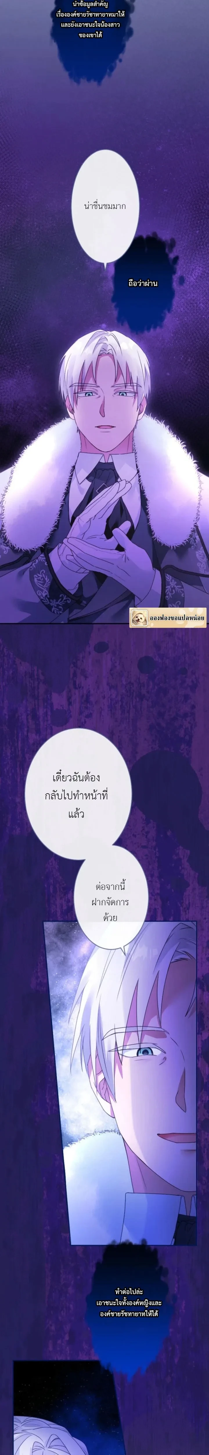 หน้าที่ 13