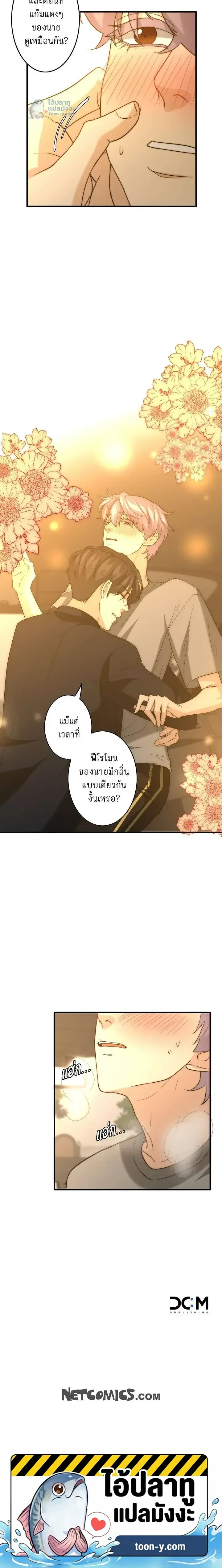 หน้าที่ 17