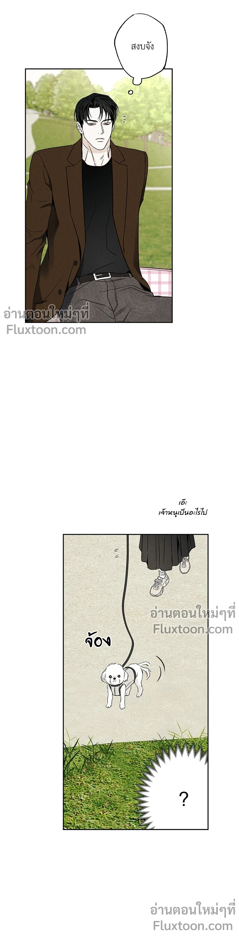 หน้าที่ 11