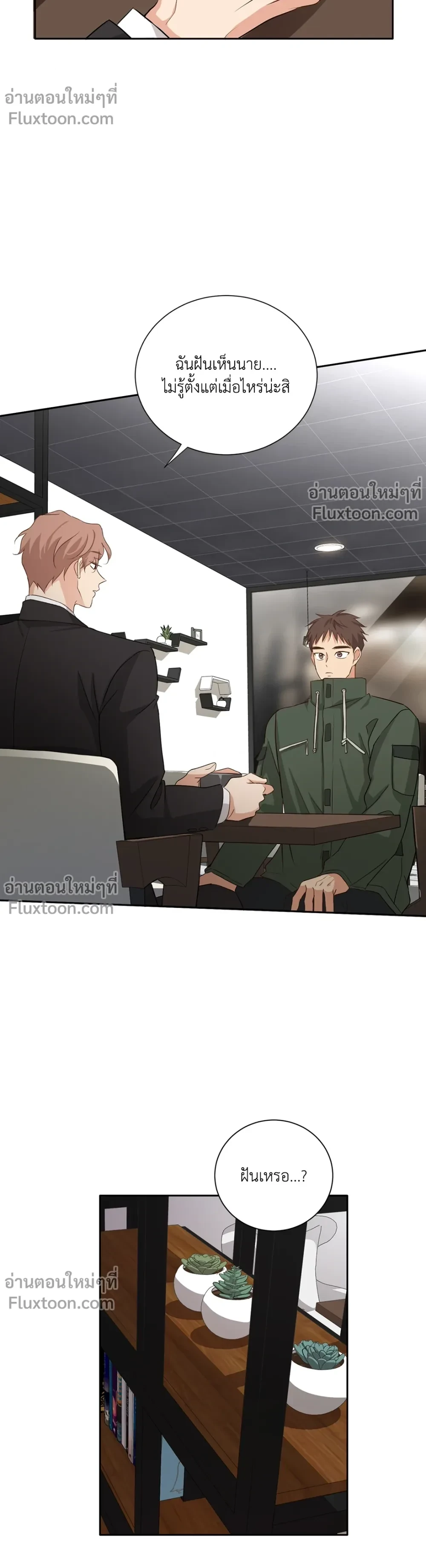 หน้าที่ 13