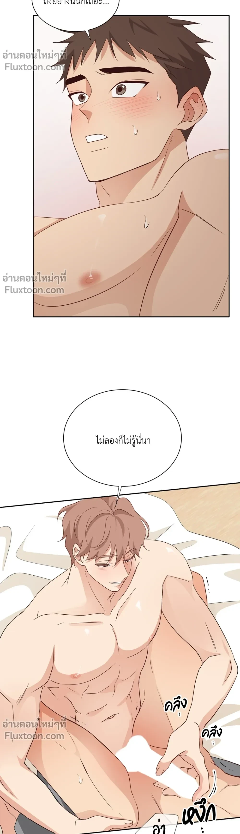 หน้าที่ 17