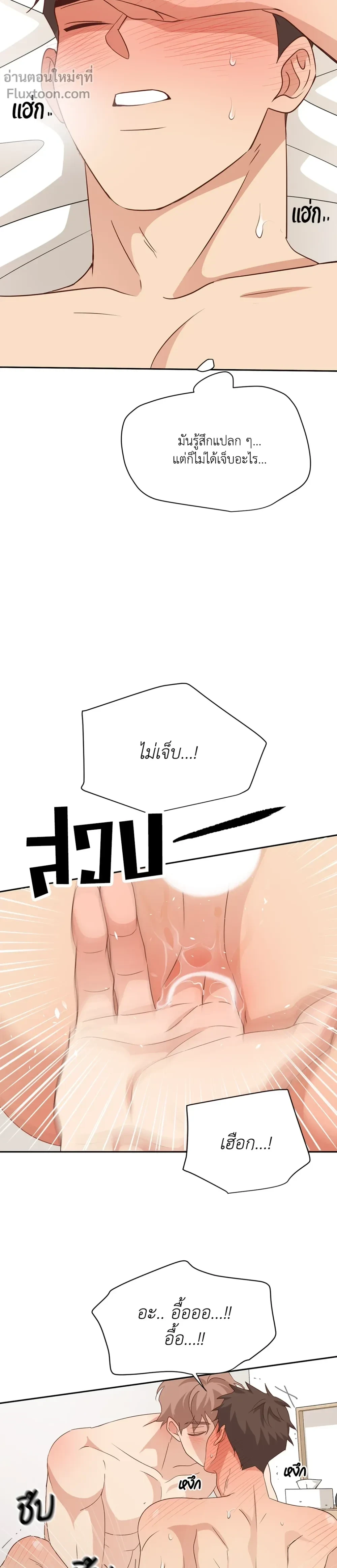 หน้าที่ 21