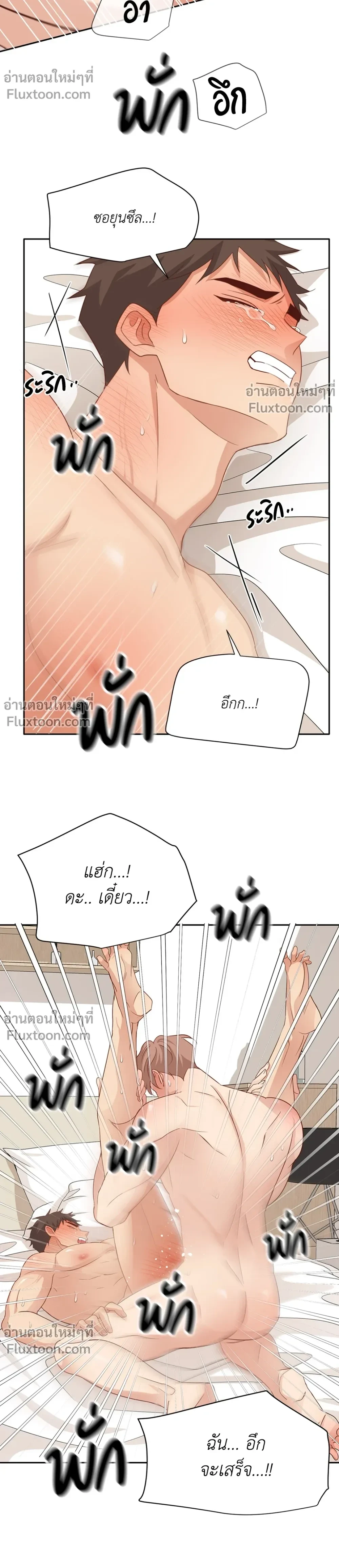 หน้าที่ 13