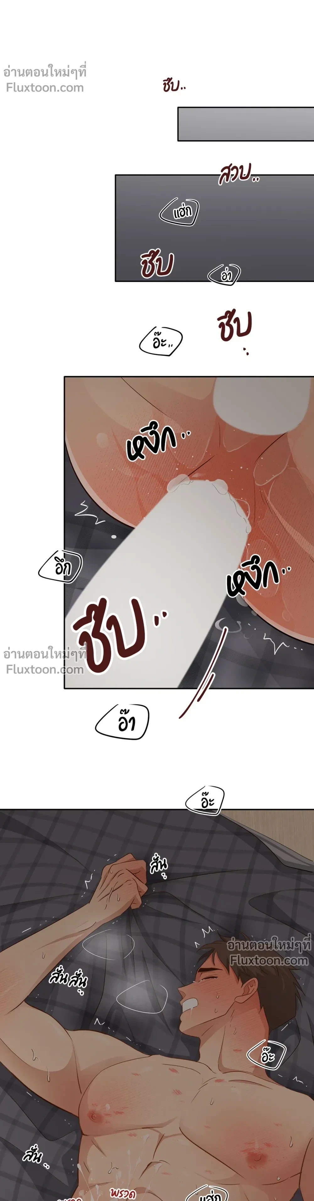 หน้าที่ 13