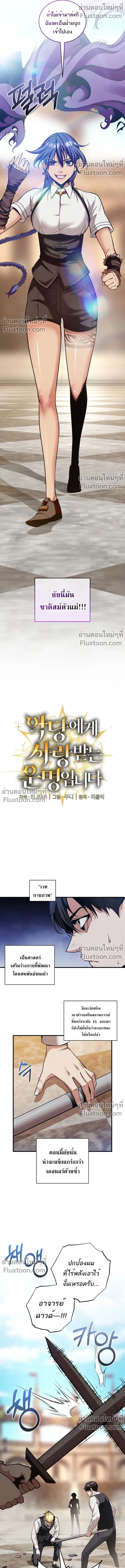 หน้าที่ 3