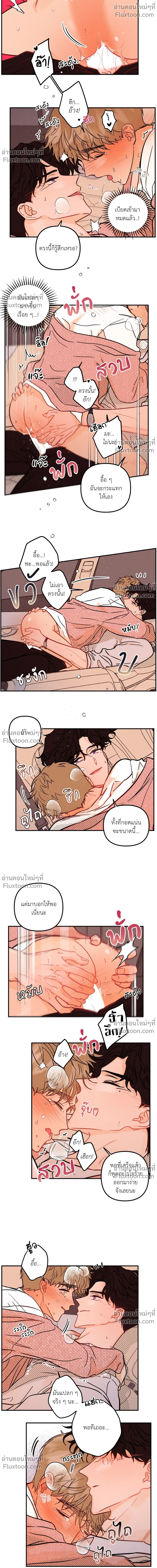 หน้าที่ 8