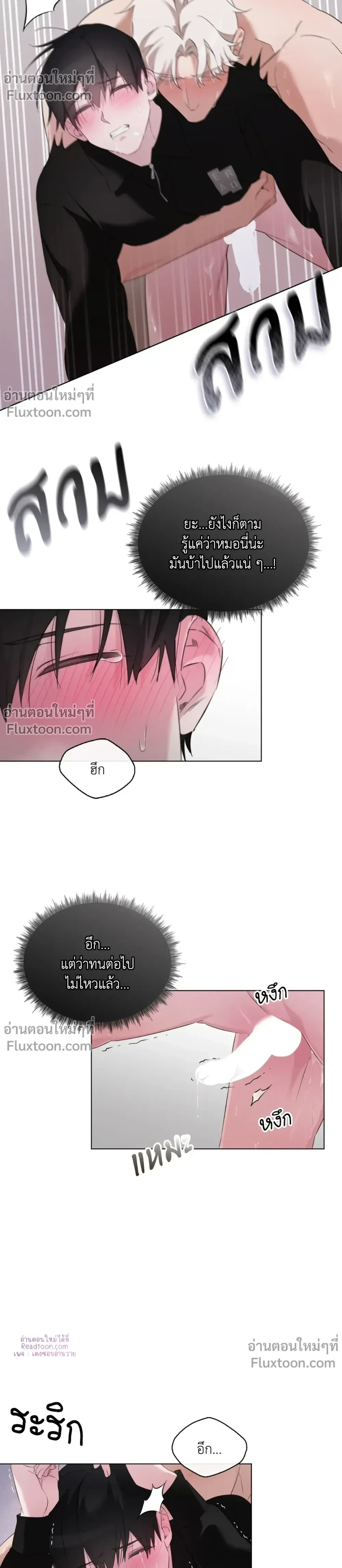 หน้าที่ 14