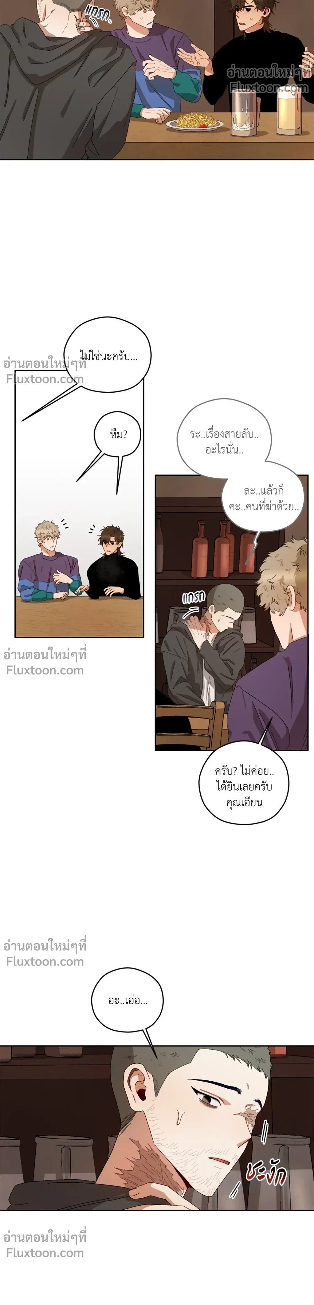 หน้าที่ 13